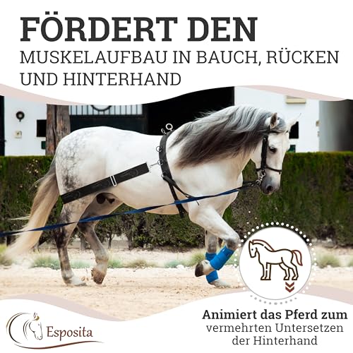 Esposita elastische Longierhilfe Pferd Pony Körperband Pferde Bodenarbeit Zubehör Longier Set Körperbandage Longiersystem Trainingssystem