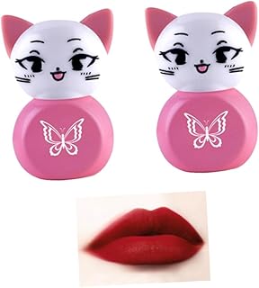 PLAFOPE 2 Peças Batom De Veludo Batom Hidratante Batom Líquido Batom Fosco Batom Brilho Labial Batom Fosco Esmalte Labial Acessórios De Maquiagem Cor Lábios Ilegalidade Mulher