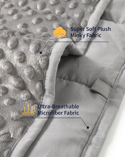 Image of Mr. Sandman Weighted Blanket for Adults Queen, Minky Dots Heavy Blanket for Woman, Man Sleeping /Calm, Soft, Cozy and Cooling Weighted Throw Blankets, Machine Washable, 80 x 87in, 15 Pounds, Grey