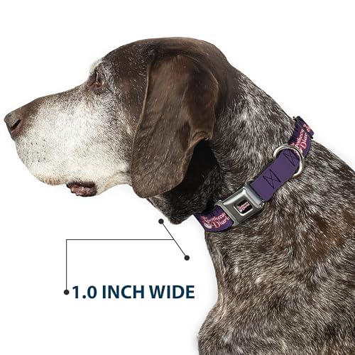 Collier chien boucle sécurité métal Crunchyroll Les Carnets Apothicaire