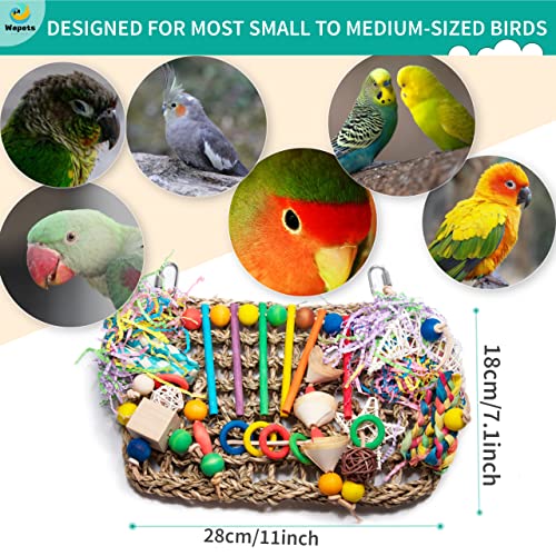 Wepets Brinquedo de papagaio forrageado feito à mão de alga marinha (28,2 cm x 18 cm) – maneira natu
