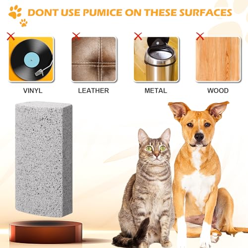 2 Stück Bimsstein, Tierhaarentferner für Haustiere, Fußpflege Werkzeug und Teppich Hundefell Entfernung