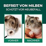 Silberkraft Milbenspray Hamster 500ml - Effektives Anti Milben Spray für Hamster und Kleinnager - Milbenbefall behandeln bei Hamstern Rennmäusen Degus