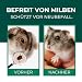 Silberkraft Milbenspray Hamster 500ml - Effektives Anti Milben Spray für Hamster und Kleinnager - Milbenbefall behandeln bei Hamstern Rennmäusen Degus