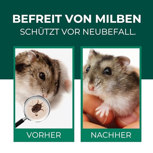 Silberkraft Milbenspray Hamster 500ml - Effektives Anti Milben Spray für Hamster und Kleinnager - Milbenbefall behandeln bei Hamstern Rennmäusen Degus