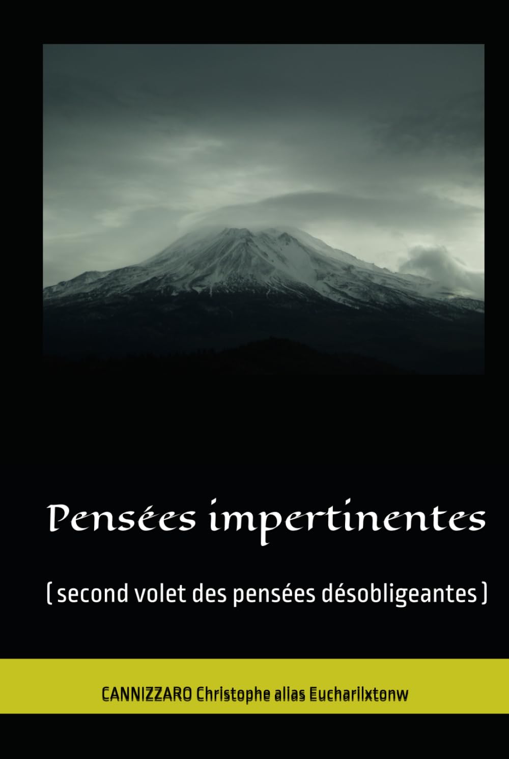 Pensées impertinentes: ( Second volet des pensées désobligeantes )