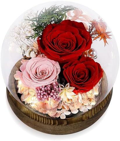 Luxbrand Preserved Flower for Delivery Prime Christmas Gift for Women, Birthday Forever Red Rose Flower Fresh Bouquet, Unique Eternal Flower Gift for Mom Grandma Wife Valentine's Day Gift