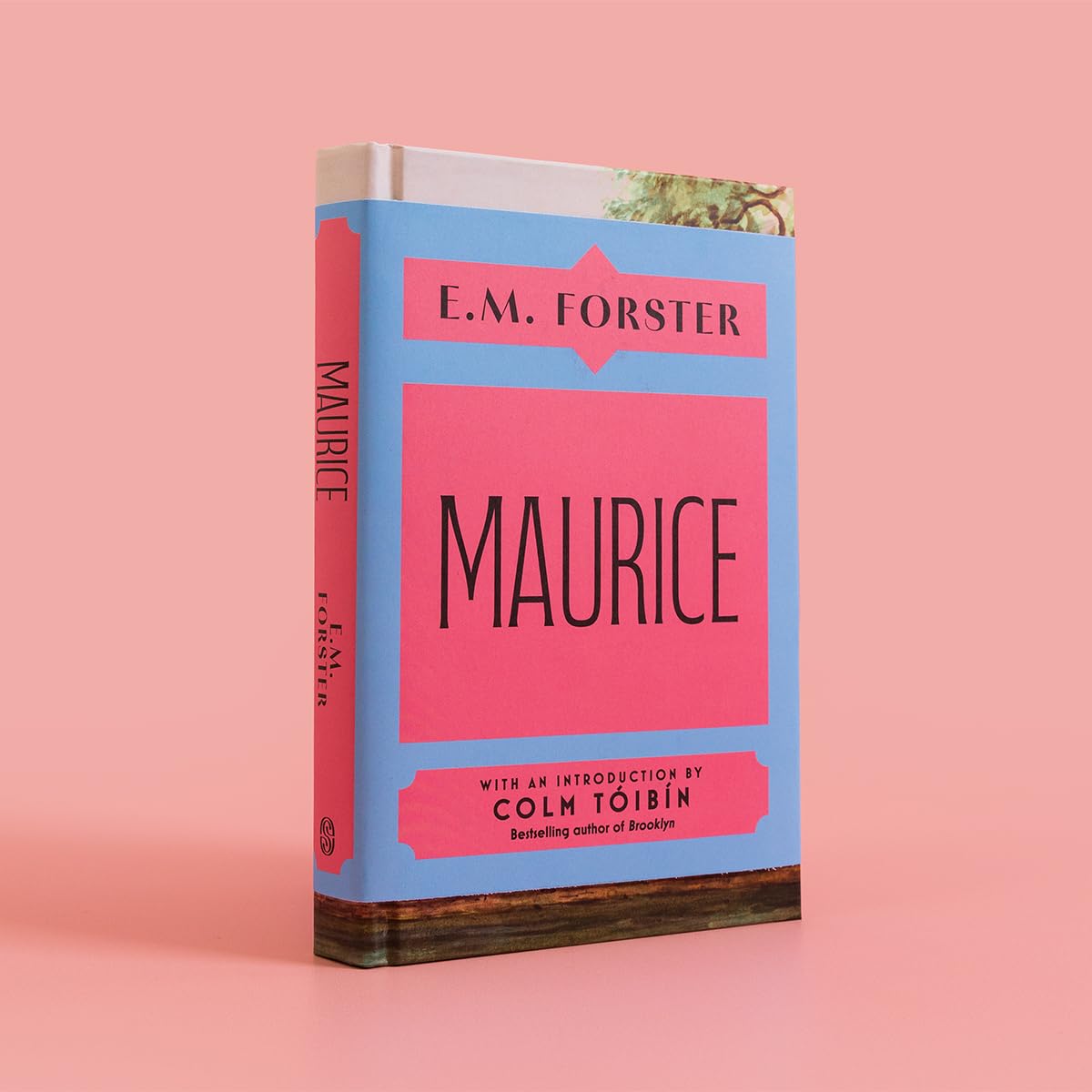 Maurice: With an introduction by Colm Tóibín, bestselling author of Brooklyn