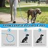 Mile High Life Slip Lead Dog Leash - 4FT, 5FT, 6FT Heavy Duty Rope Leash for No Pull Training, Durable Braided Dog Lead with Leather Stopper & Tip for Medium Large Dogs #5
