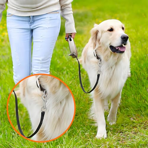 2 Stück Karabiner für Hundeleine, Wirbelkarabiner Edelstahl für Hundeleinen, Karabiner-Haken mit Drehgelenk für Hunde-Leine, Karabiner Drehgelenk für Schlüsselbunde und Haustierzubehör