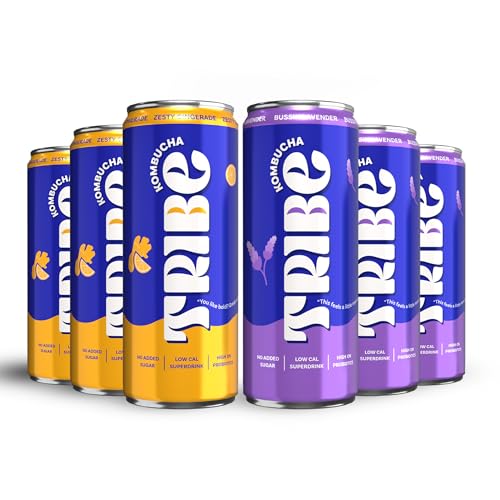 Image of Tribe Kombucha Probiotic Super Drink | Supports Gut Health | Gluten-Free | Naturally Fermented | Super Refreshing | Gut Friendly | Improves Blood Sugar | Antioxidant and Hydration | No Added Sugar | 250 ML X 6 (ZESTY GINGERADE + BUSSIN LAVENDER)