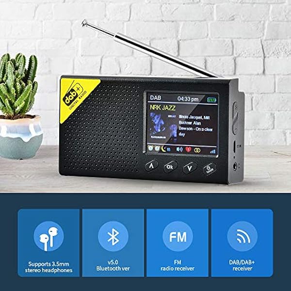 TKMARS DAB Radio digitale stereo FM Ricevitore USB 3.5 mm connettore Bluetooth 5.0 2.4 pollici Display Mini radio portatile ricaricabile DAB/DAB Plus lettore musicale