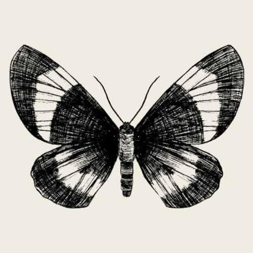 Life With Purpose Podcast cover art