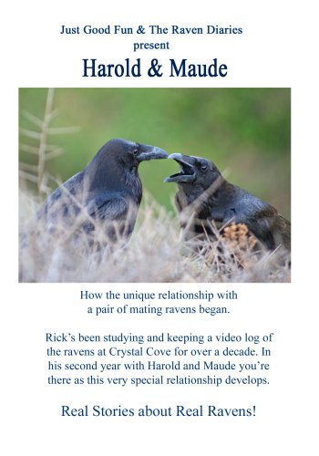 Preisvergleich Produktbild Harold & Maude