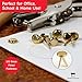 Charles Leonard Fasteners, Round Head, Brass Plated, 1/2 Inch Shank, 8 MM Head, 100-Pack (2R-BP)