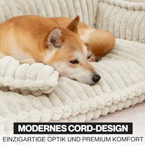 noviclass® Hundesofa Chaffar Hundebett | Orthopädische Matratze | Moderner Stil | Cord-Design Größen (Creme, XL (120cm))