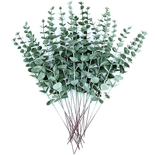 Hojas de eucalipto Mercadona precio una alternativa natural y