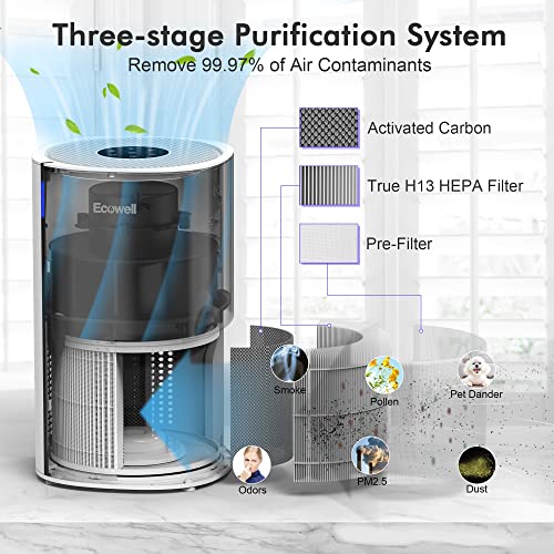 Ecowell Hepa Air Purifier For Home Bedroom, Remove 99.97% Dust Pollen Odors Pet Dander, Large Room Air Purifiers For Office Desk Kitchen Living Room, Eap250W, White, 8.6 X 8.6 X 14.17 Inch #TOP2