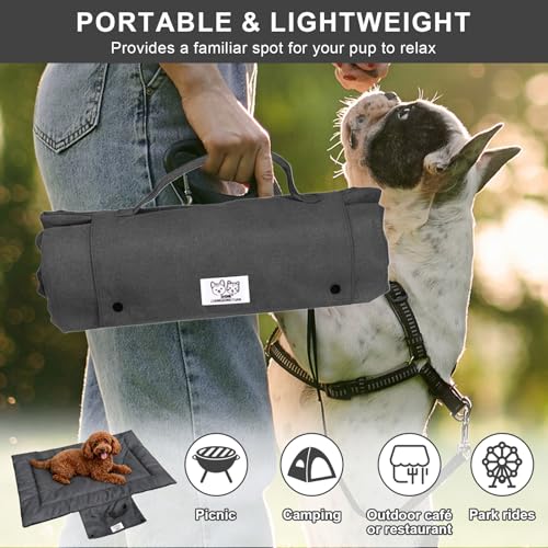 Chingcoo Hundedecke für Unterwegs 70x50cm, Wasserdicht, rutschfest & Waschbar, Faltbare Reisedecke für Auto, Camping & Zuhause - Hundebett für Kofferraum - Ideal für Reise & Outdoor
