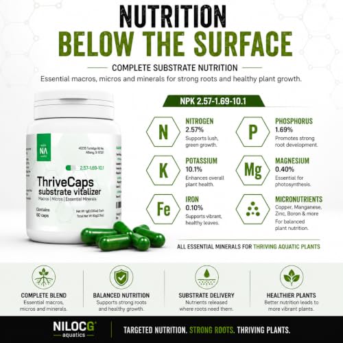 Image of NilocG ThriveCaps Aquarium Root Fertilizer for Planted Tanks, 60 Caps