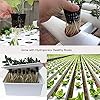 ORIMERC 12 Pack 3 inch Net Cups Pots with 12 feet Hydroponics Self Watering Wick & 12 Plant Labels Aquaponics Mason Jar Bucket Insert Orchid kratky Vegetable Garden Growing Netted Basket Slotted Mesh #3