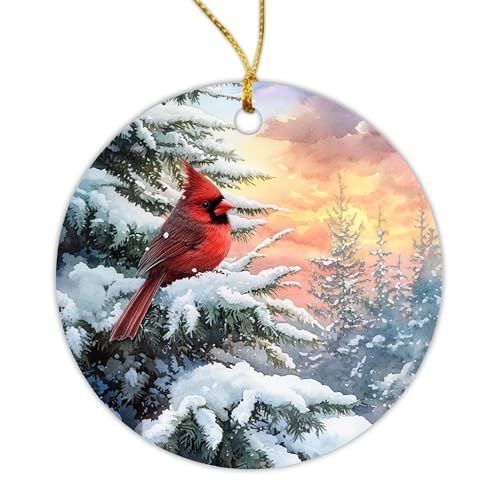 Image of Than8686-20250820 - - - ORN - - - Red - - - Cardinal - - - - Rcy5POEWb