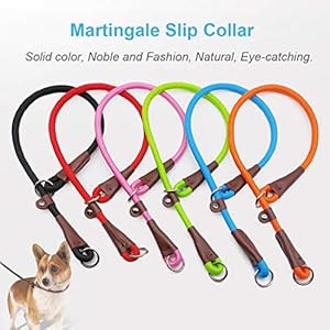 MayPaw-Slip-Collar-Nylon-Rope-Choke-Collar-for-Dog-Training-No-Pull-Round-Martingale-Dog-Collar-for-Small-Medium-Large-Dogs - Cucciolini Doodles   MayPaw-Slip-Collar-Nylon-Rope-Choke-Collar-for-Dog-Training-No-Pull-Round-Martingale-Dog-Collar-for-Small-Medium-Large-Dogs