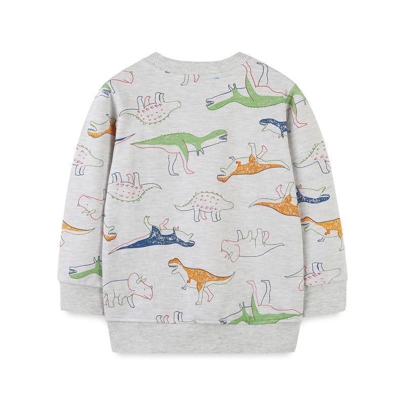 Toddler Boy Sweatshirt Dinosaur Sweater Shirts Crewneck Pullover Cotton Graphic Tops2