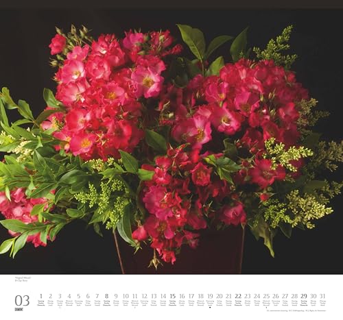 DUMONT - Geliebte Rosen 2026 – Wandkalender 38 x 36 cm – Rosensträuße von Clay Perry für Blumenliebhaber: Beloved Roses - Adorables roses