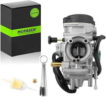 51Lp1ihzV6L._AC_UF350,