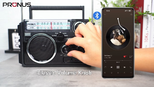 Amazon.com: PRUNUS J-02 Portable Radio AM FM SW Bluetooth, Dual