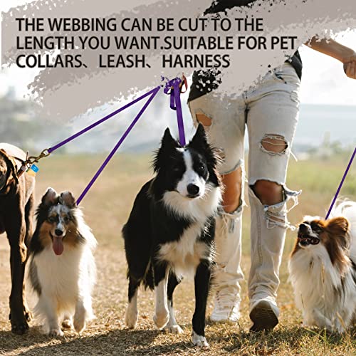 Image of Polyester Webbing Strap 16+Colors - 1 inch&1.5 inch&1.9 inch - 16.5 25 33 55 Yards Heavy Duty Webbing Roll, Flat Webbing Strap for Indoor&Outdoor Gear, Climbing, DIY Crafting, Repairing