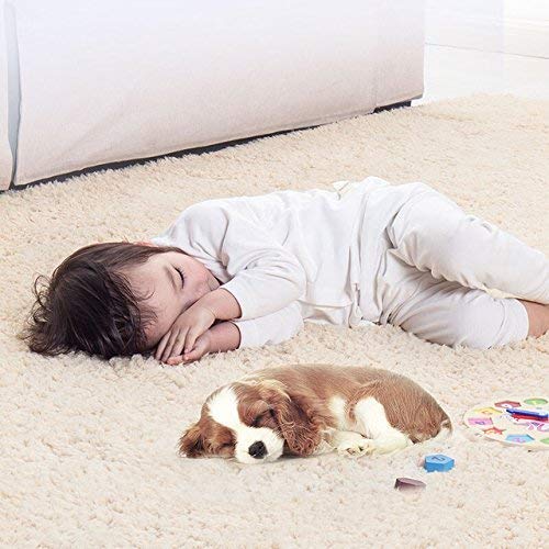 Image of F & B RUGS ; SUPERIOR QUALITY PRODUCTS Firoz and Brothers Handwoven Super Soft Indoor Modern Shag Microfibre Silky Fluffy Smooth 12x15 feet Beige A