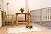 Catral 52010010 - Rollo malla cuadrada, 0.2 x 500 x 100.0 cm,...