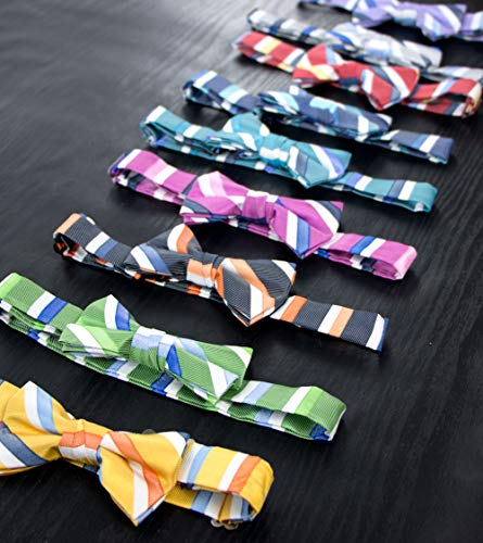 Spring Notion Boy's Striped Woven Bow Tie4