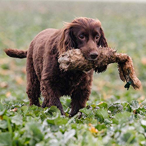 ROMNEYS Kaninchendummy | Standard-Dummy 500g mit echtem Kaninchenfell überzogen | Wild-Apportel für die jagdliche Hundeausbildung