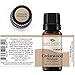 Plant Therapy Himalayan Cedarwood Essential Oil 10 mL (1/3 oz) 100% Pure, Undiluted, Therapeutic Grade