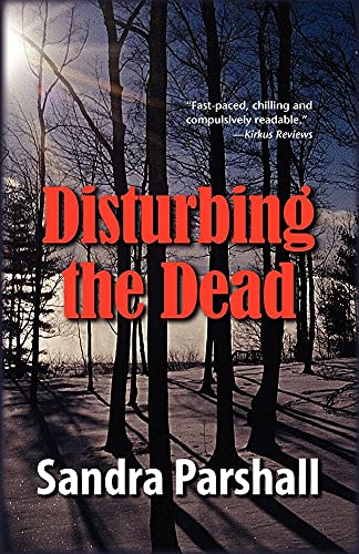 Disturbing the Dead view 2