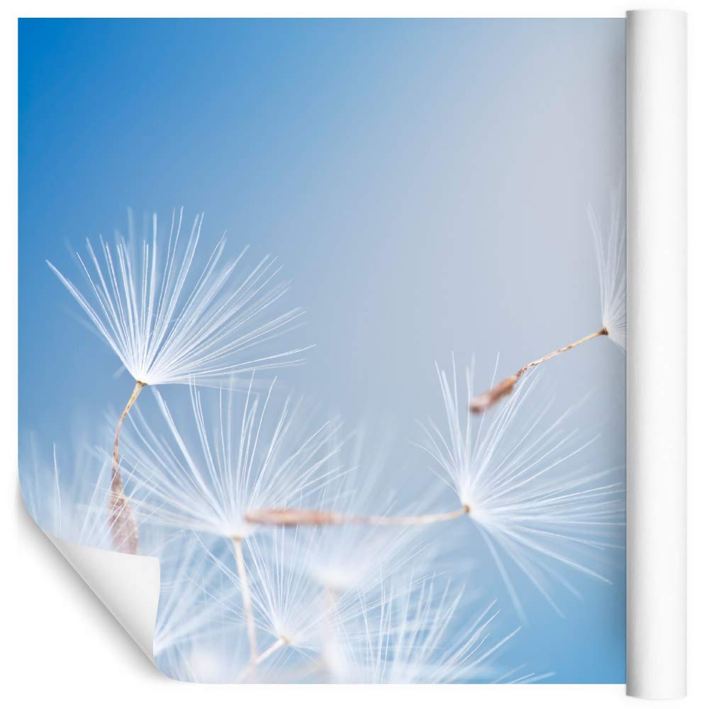 Muralo Carta da Parati 3D, Soffione, Natura - 315x210 cm | Rivestimento murale decorativo disponibile in tessuto non tessuto o autoadesivo, stampa nitida, posa facile, arredo moderno