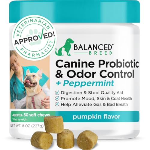 Balanced Breed Dog Probiotics Digestive Health Enzymes Made in USA Vet-Pharmacist Approved Fortiflora Probiotics Dogs Anti Yeast Supplements Constipation Relief Dog Yeast Itchy Skin Itchy Ears Non-GMO