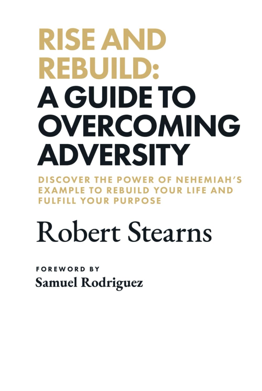 Rise and Rebuild: A Guide to Overcoming Adversity