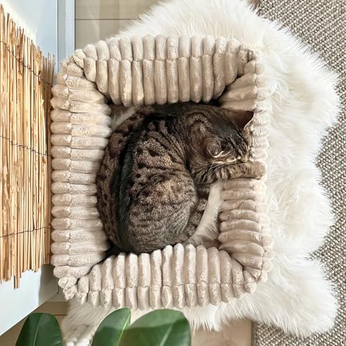4L Textil Bella Plüsch-Hundebett Premium-LINE Kuscheliges Hundekörbchen aus Cord Katzenkorb Hundekorb für Welpen Hundebett flauschig Hundesofa kleine Hunde (Beige, 60x40 cm)