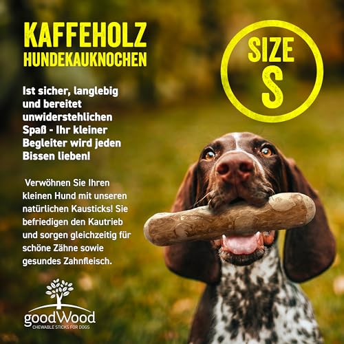 GOODWOOD - Kauknochen S (3er Set) - Kaffeeholz - für kleine Hunde - natürliche Zahnpflege, beugt Zahnstein & Zahnfleischerkrankungen vor - 100% natürlich & koffeinfrei - vegan