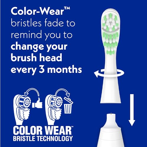 Spinbrush Pro Whiten Battery-Powered Electric Toothbrush の商品画像 3
