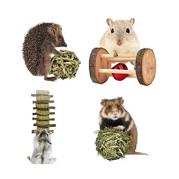Erkoon new 12 pack hamster chew toys gerbil rat guinea pig chinchilla chew toys accessories, natural wooden dumbbells exercise bell roller teeth care molar toy for rabbits bird rabbits hamster gerbil - image 5