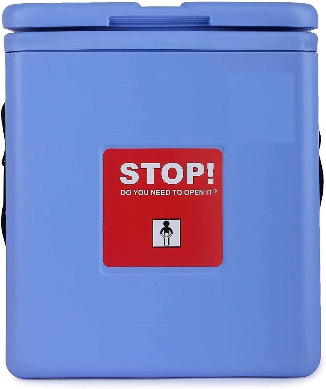 Vaccine Carrier Box with 2 Ice Packs, 0.80L Capacity, 8L x 4W x 2H inches