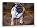 Produktbild 1art1 Hunde - Wann Gibts Fresschen Poster Leinwandbild Auf Keilrahmen 30 x 20 cm