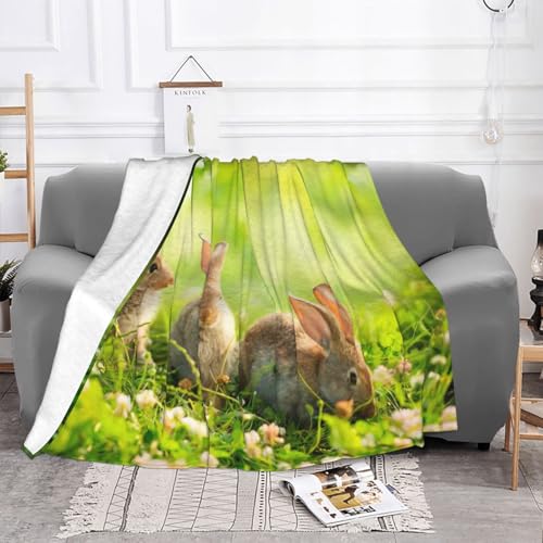 Couverture en flanelle imprimé lapins plaid canapé lit toutes saisons - 4