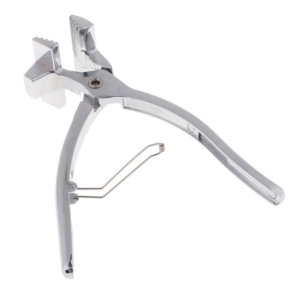 Lot de 2 pinces professionnelles à large goulot de 6 cm de large pour étirer la toile
