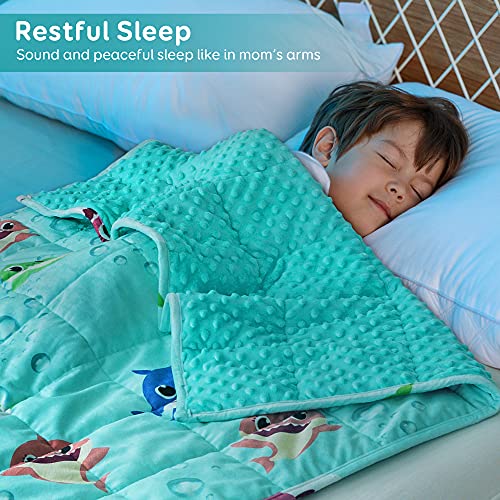 Image of Sivio Minky Dotted Weighted Blanket, Super Soft Crystal Velvet Reversible Heavy Blanket with Cute Cartoon Patterns, 3 lbs, 36x48 Inch, Green Shark